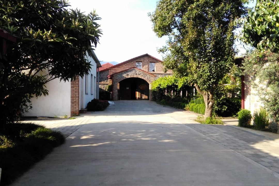 Shaloshvili's Cellar Hotel主图