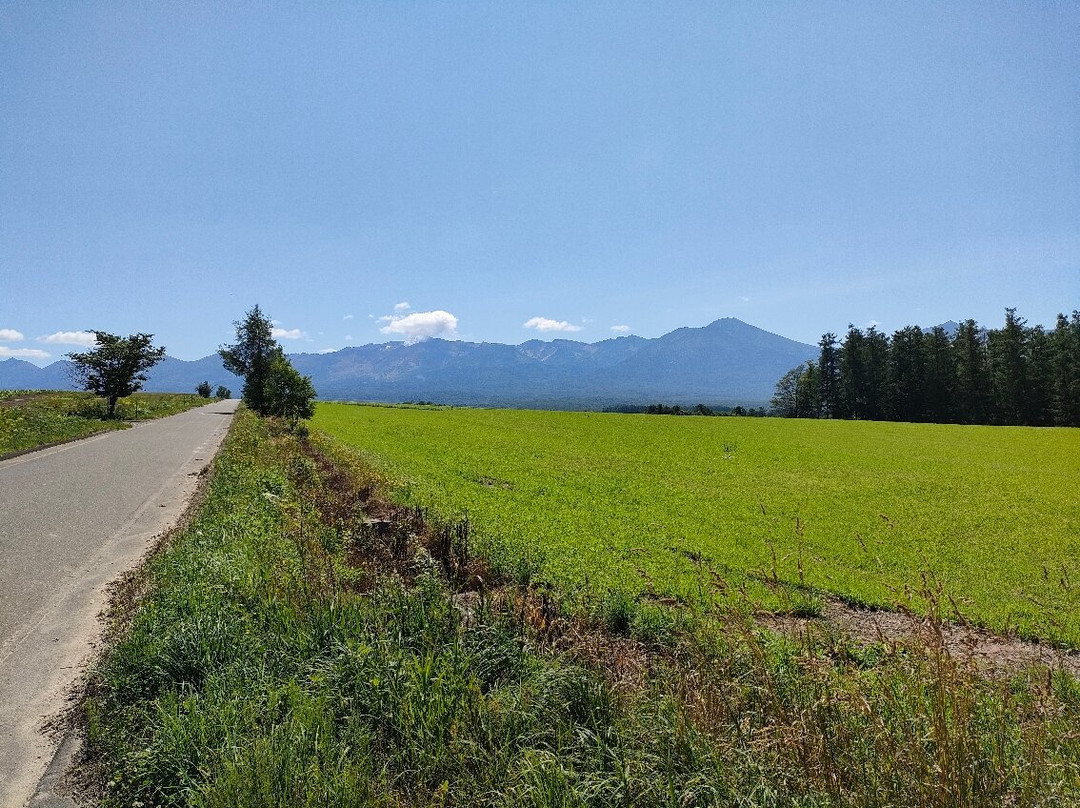 Asahino Yamabiko Highlands