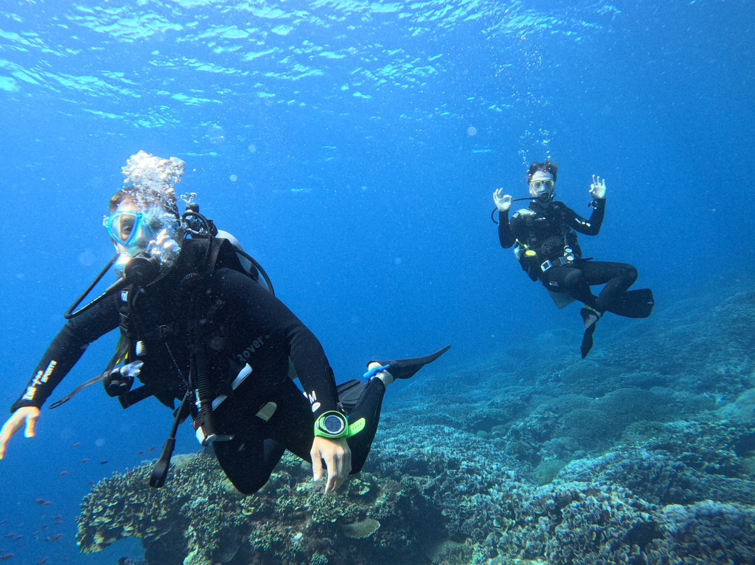 Karma Diving & Yoga景点图片