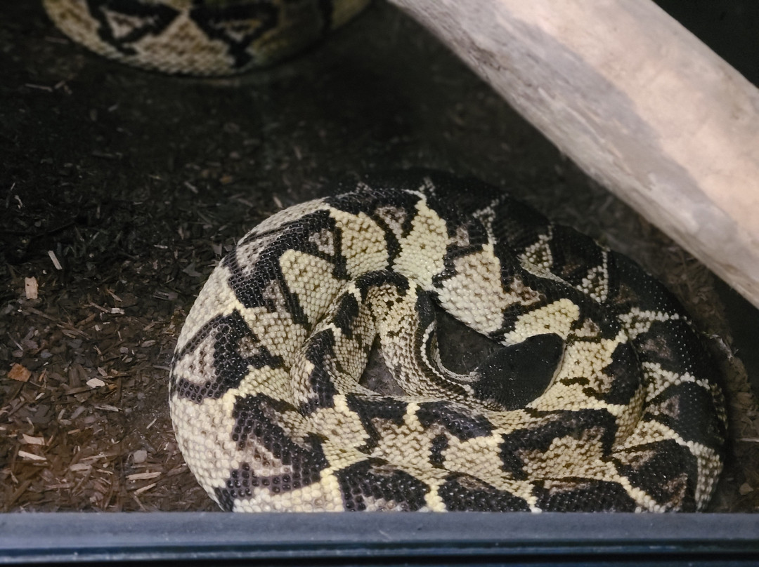 The Serpent Center-Vance必去景点