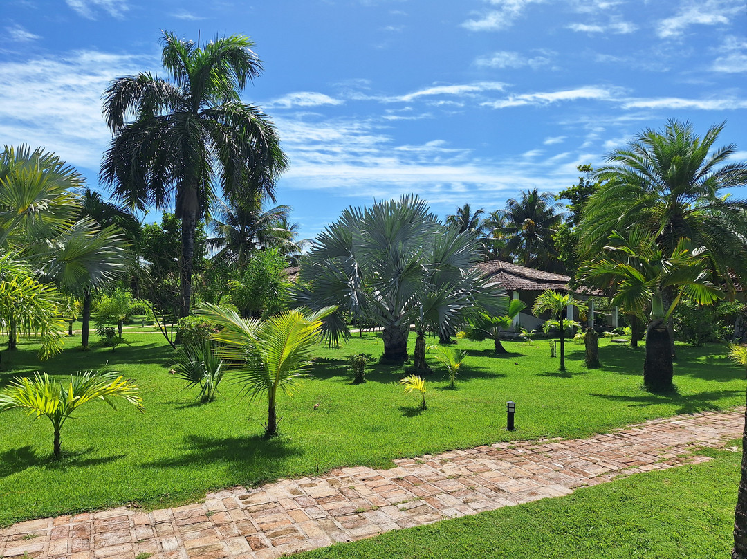 Aldeia Beijupira Pousada主图