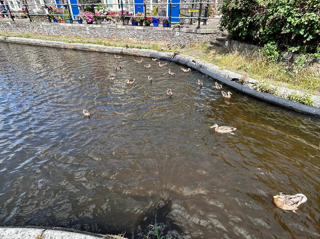 Brecon Basin Canals-布雷肯必去景点