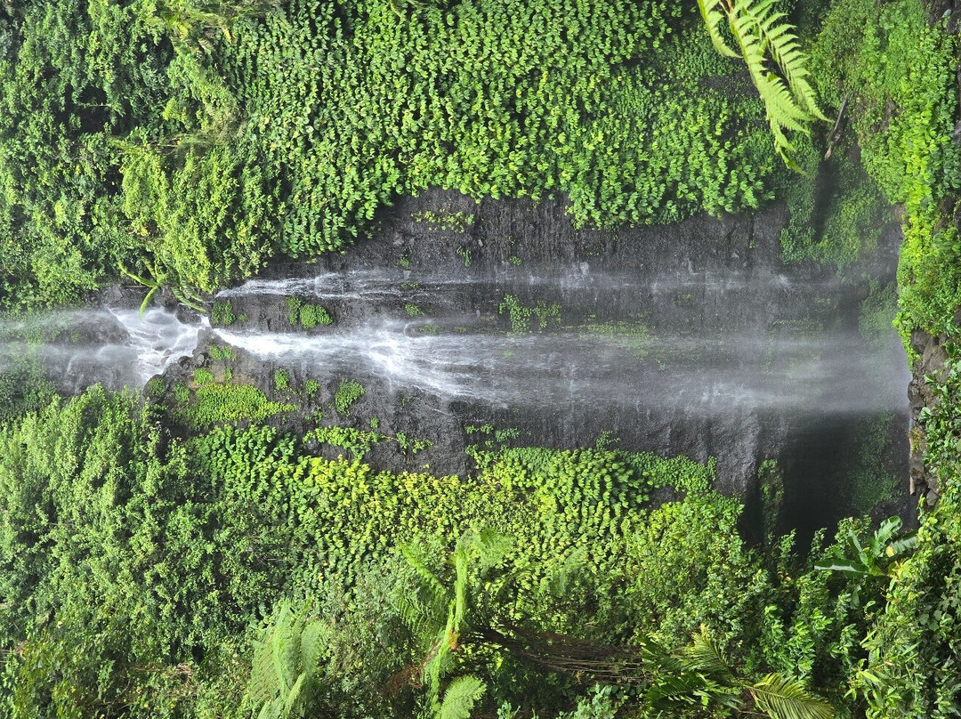 Sugi  Trekking Sekumpul景点图片