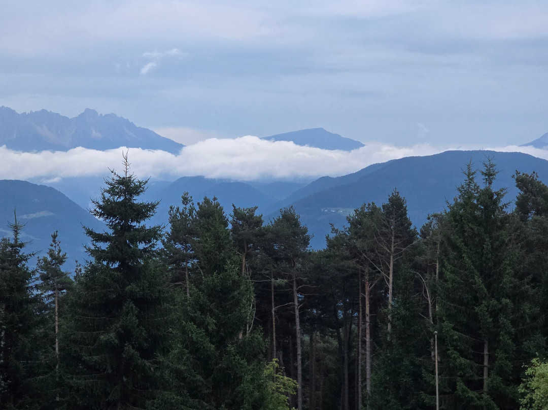 Gasthof Edelweiss主图