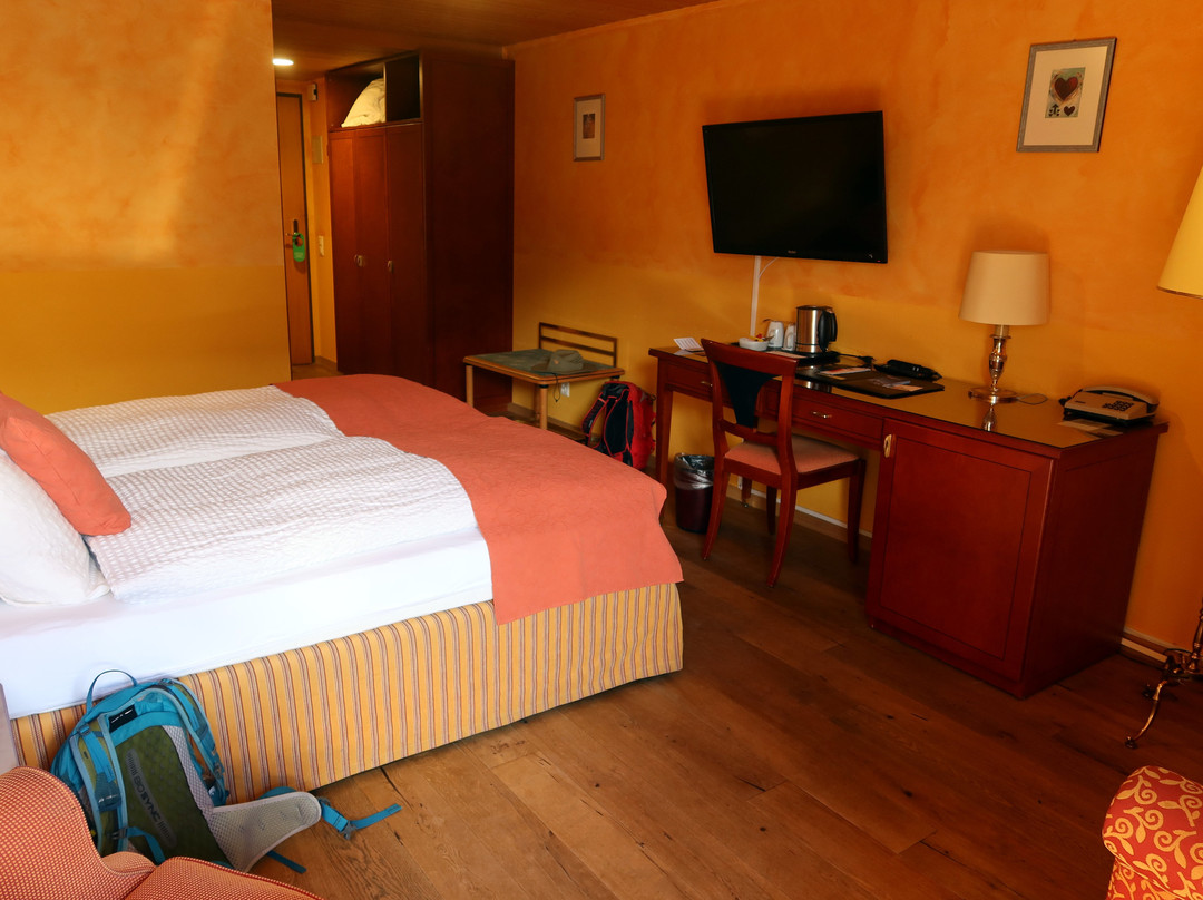 Hotel Silberhorn AG主图