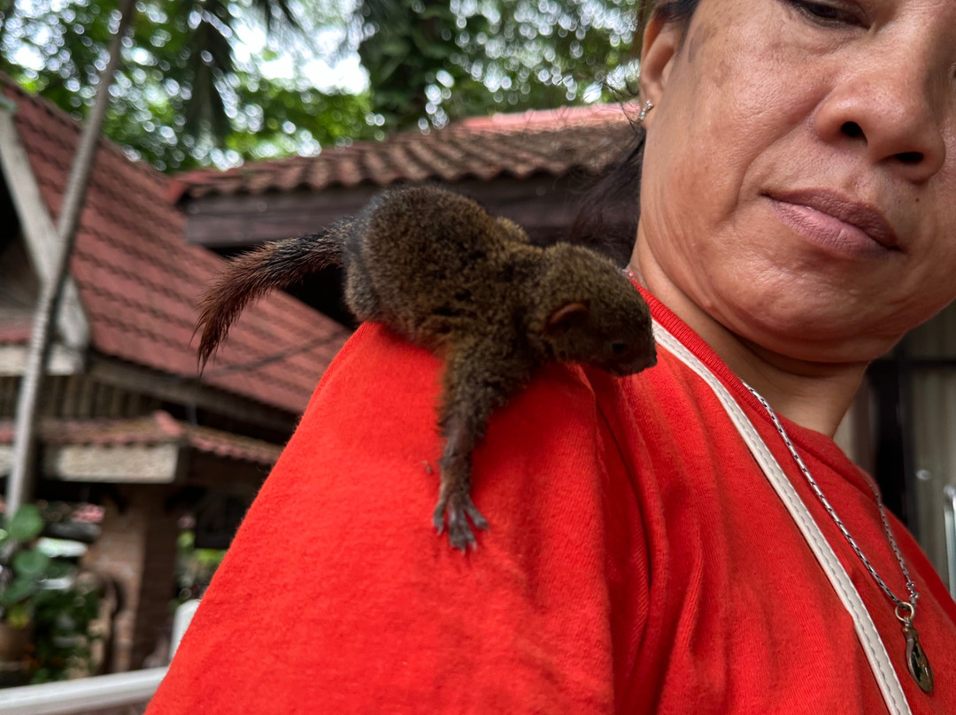 旧皇宫度假村酒店主图