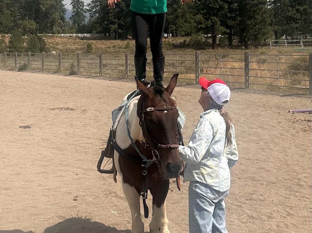 Piping Rock Equestrian Center景点图片