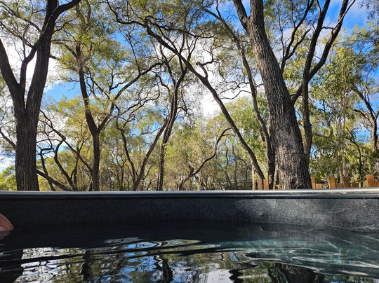 Talaroo Hot Springs-Mount Surprise必去景点