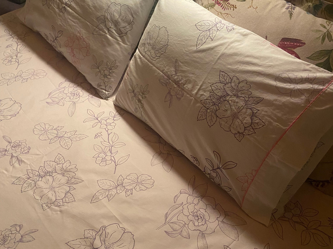 Pension Archodissa主图