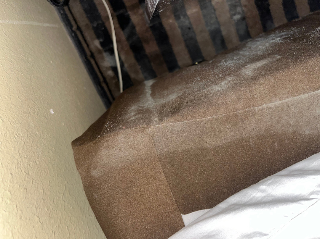 Best Western Mckenzie主图