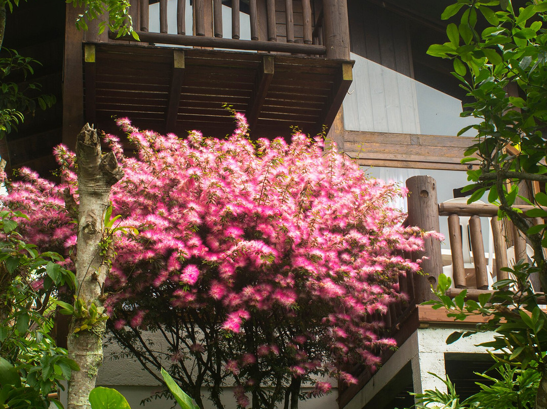 Moradas da Silveira Pousada主图