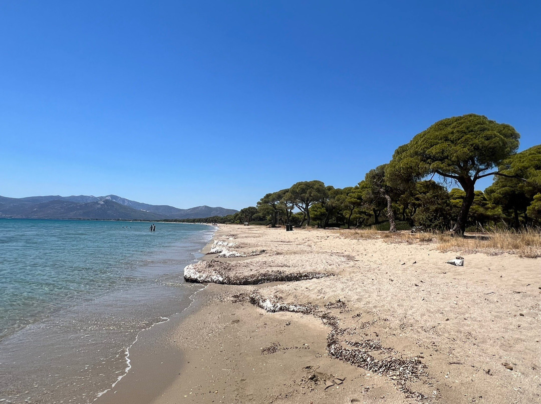 Schinias Beach-Marathon必去景点