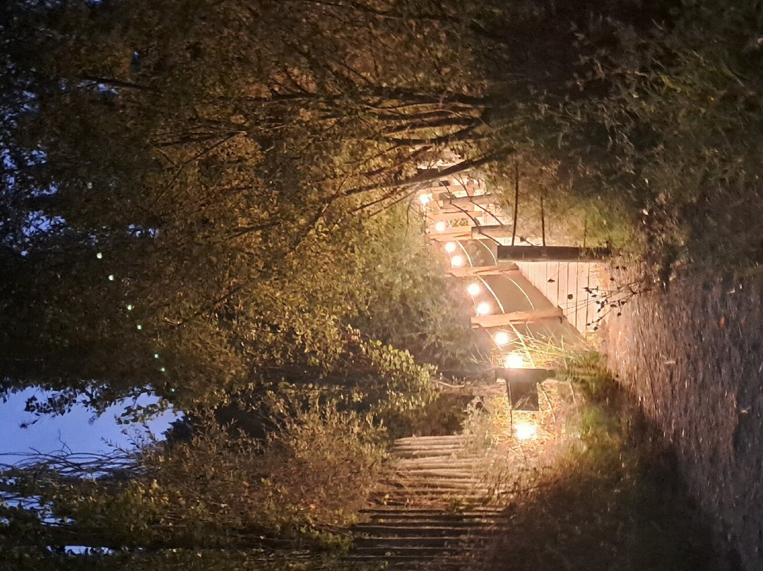 Parque Dos Monges - Alcobaça景点图片
