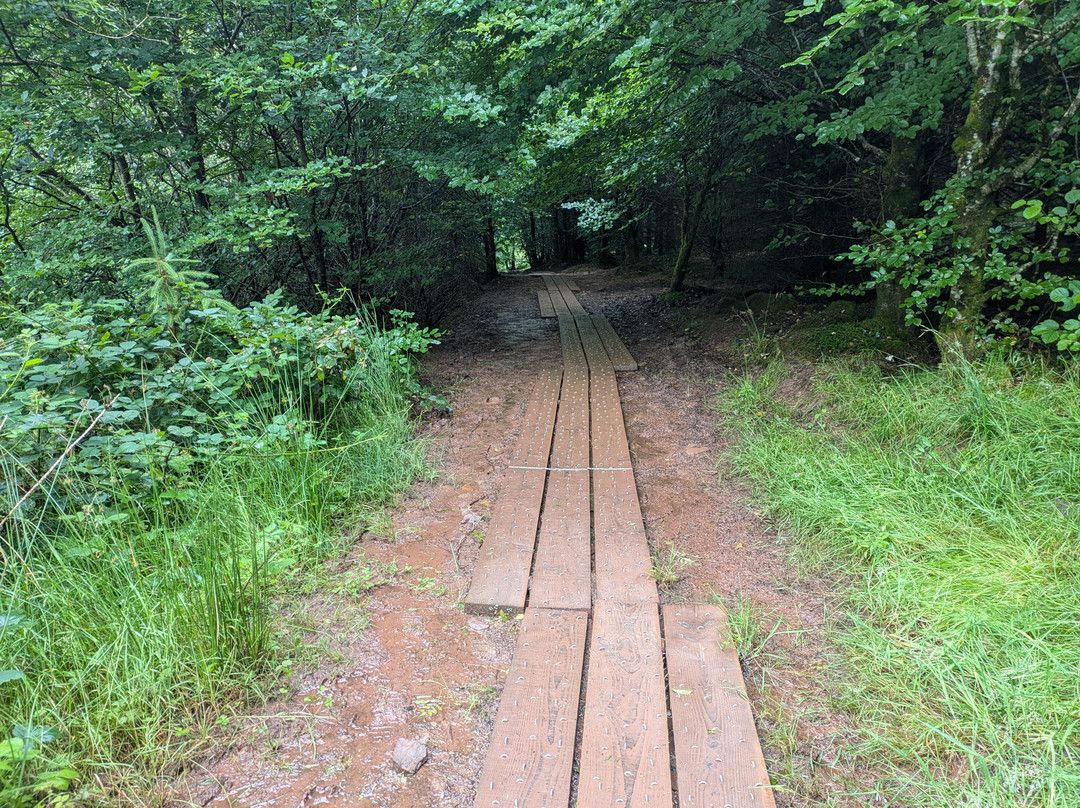 Slieve Bloom Mountains-Kinnitty必去景点