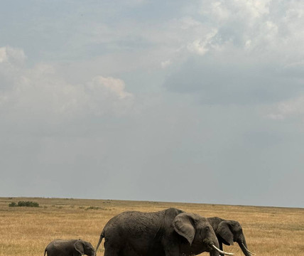 DesertTrips Safari-恩德培必去景点