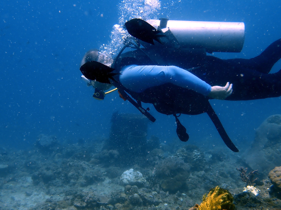 Turtle Divers-爱妮岛必去景点