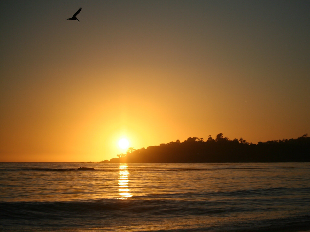 Carmel Beach-卡梅尔必去景点