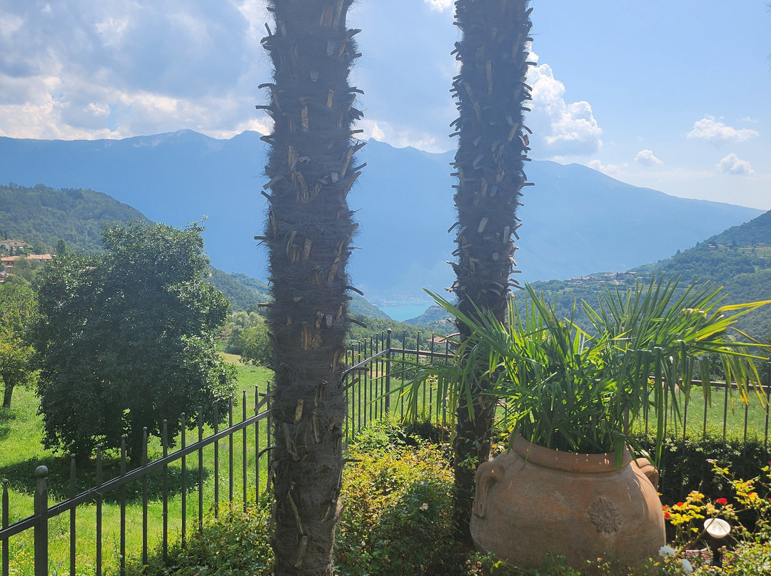 Hotel Sole - La Fenice主图