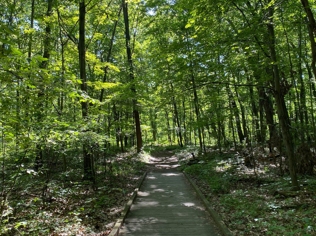 Wildwood Metropark-托莱多必去景点