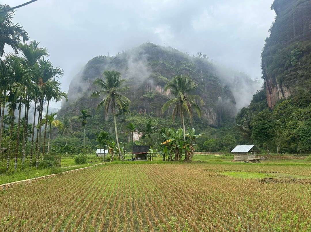 Harau Canyon景点图片