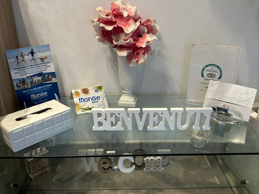 Hotel Atlantic & Spa主图