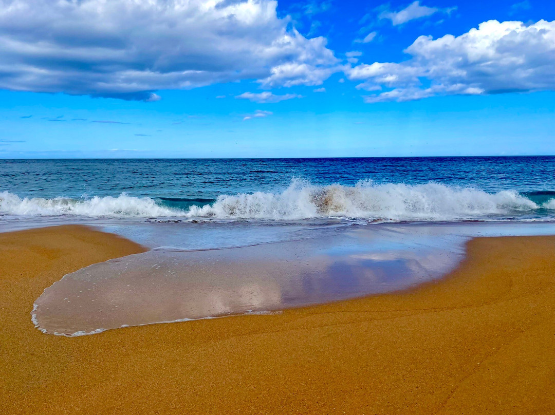 Fraserburgh Beach-Fraserburgh必去景点