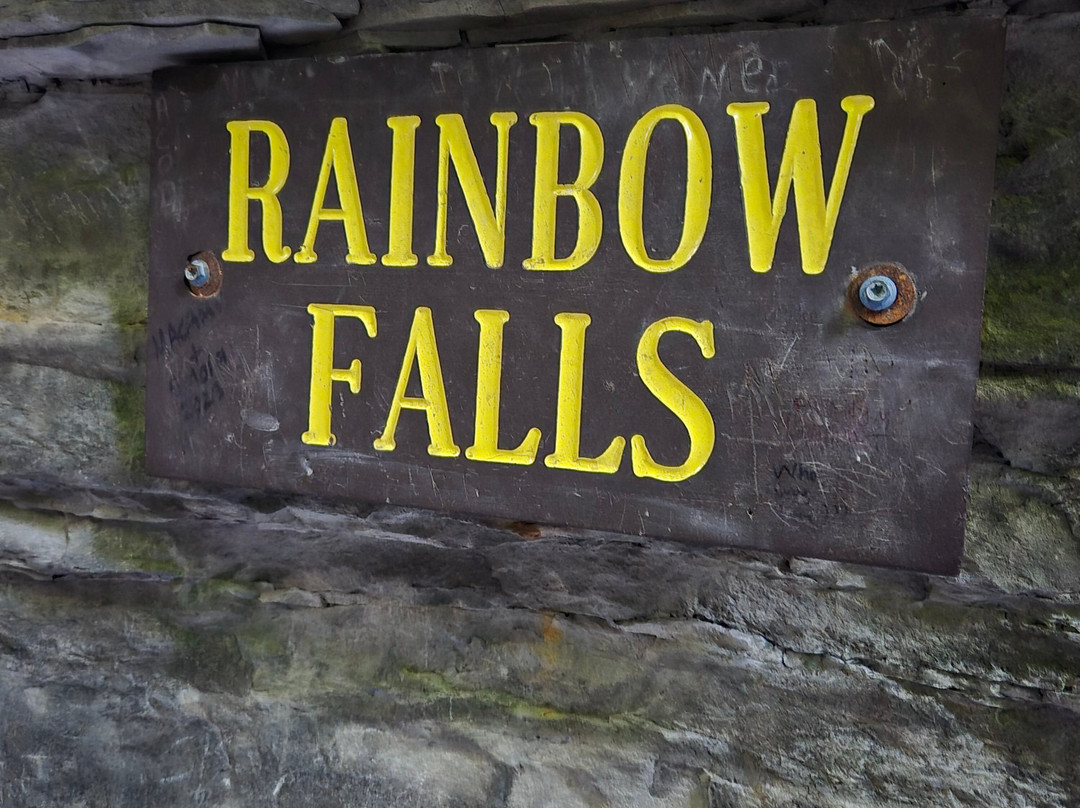 Hector Falls-Hector必去景点