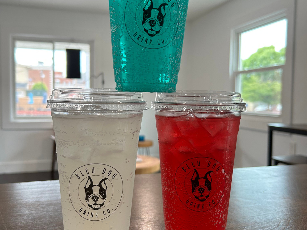 Bleu Dog Drink Co.