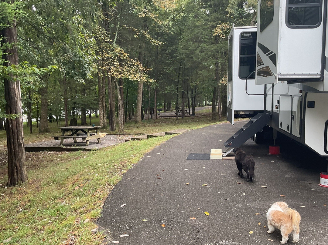 Bledsoe Creek State Park-Gallatin必去景点