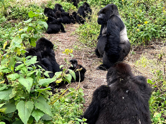 Afri Safaris-吉佳利必去景点