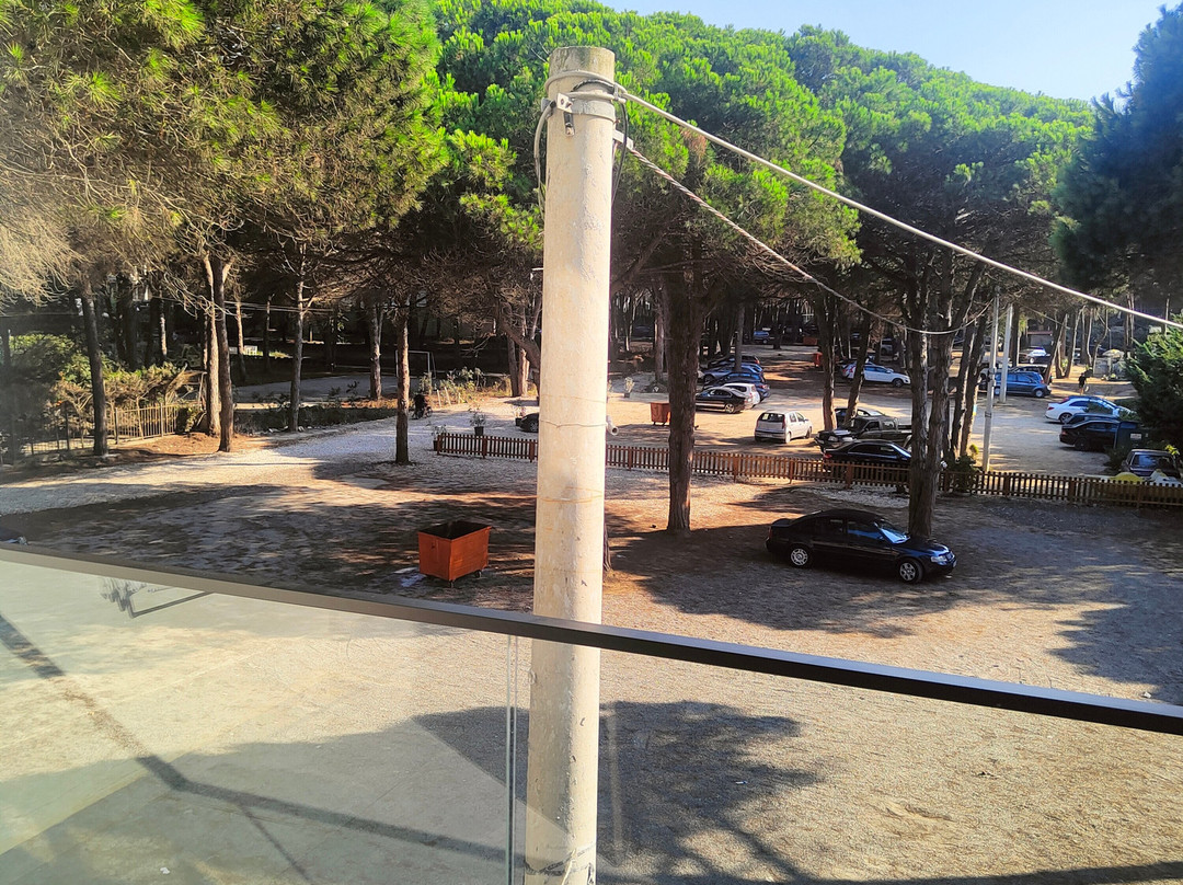 Alexander Resort