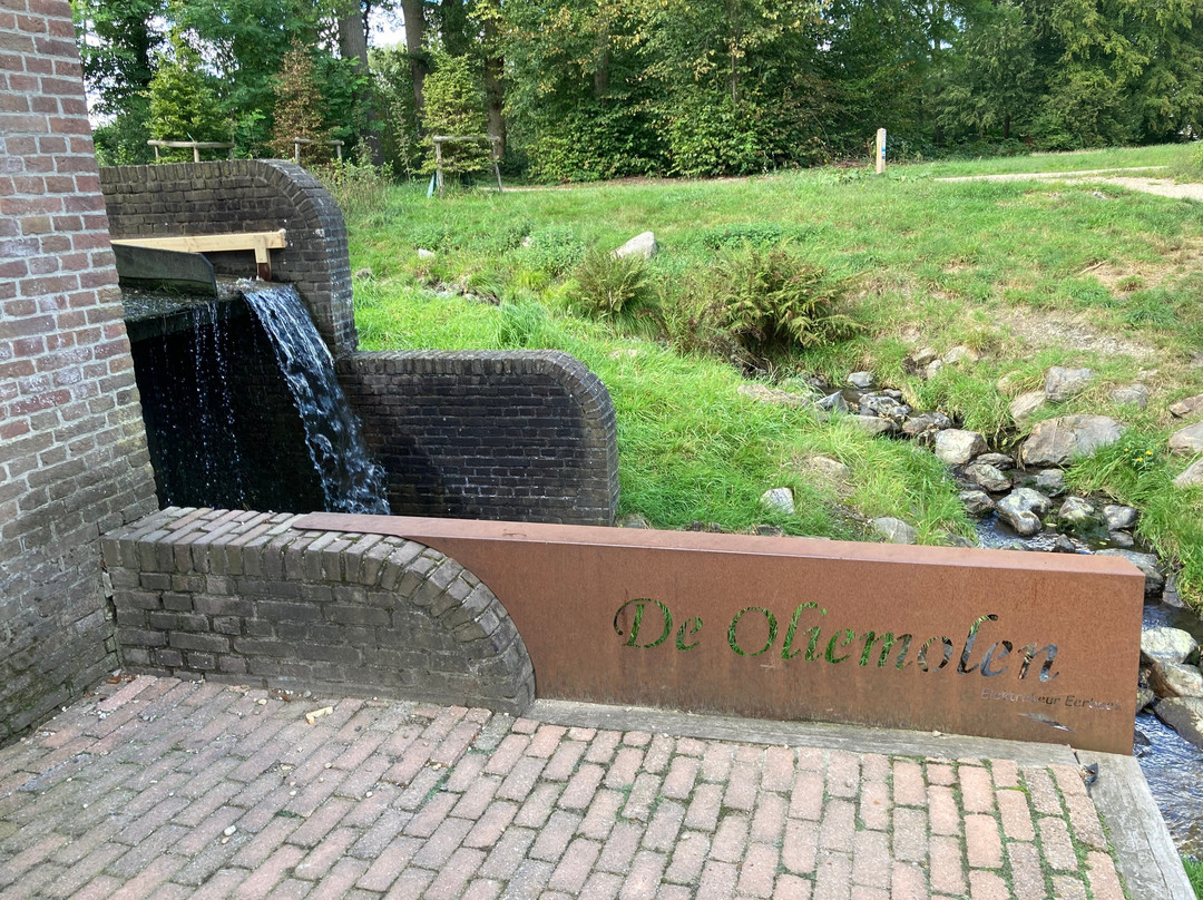 De Eerbeekse Oliemolen景点图片