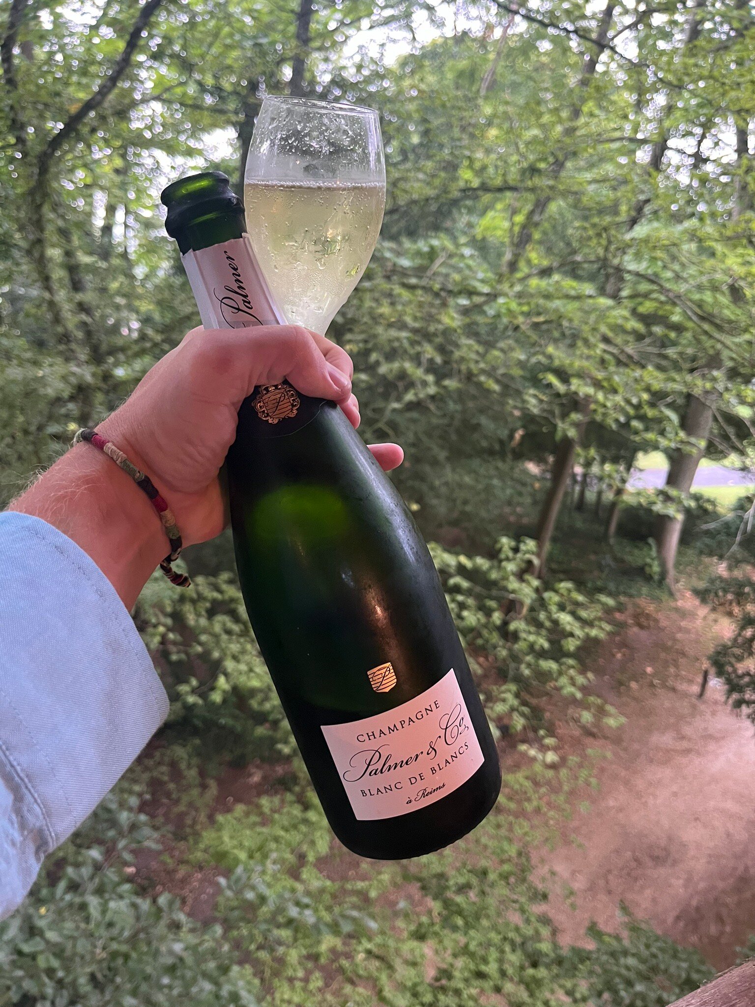 Domaine du Chalet-官方