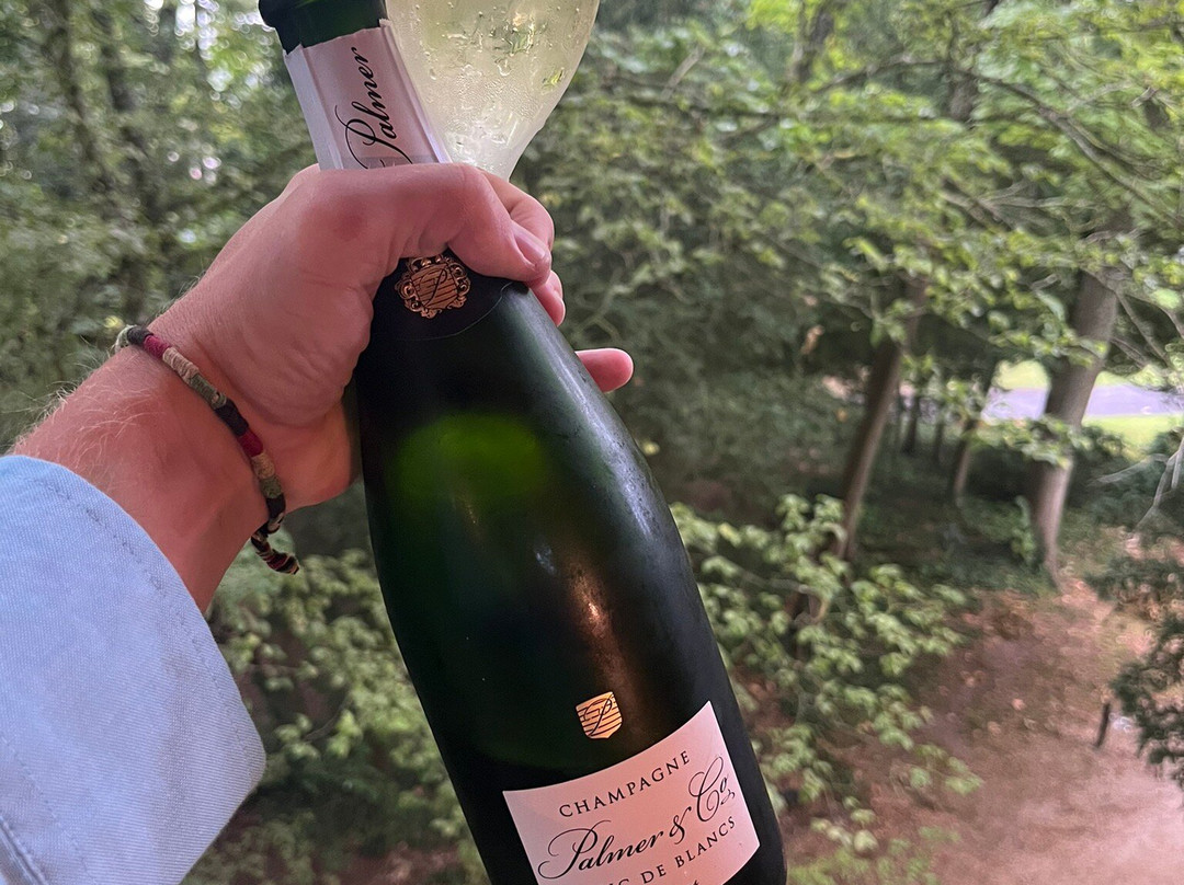 Domaine du Chalet主图
