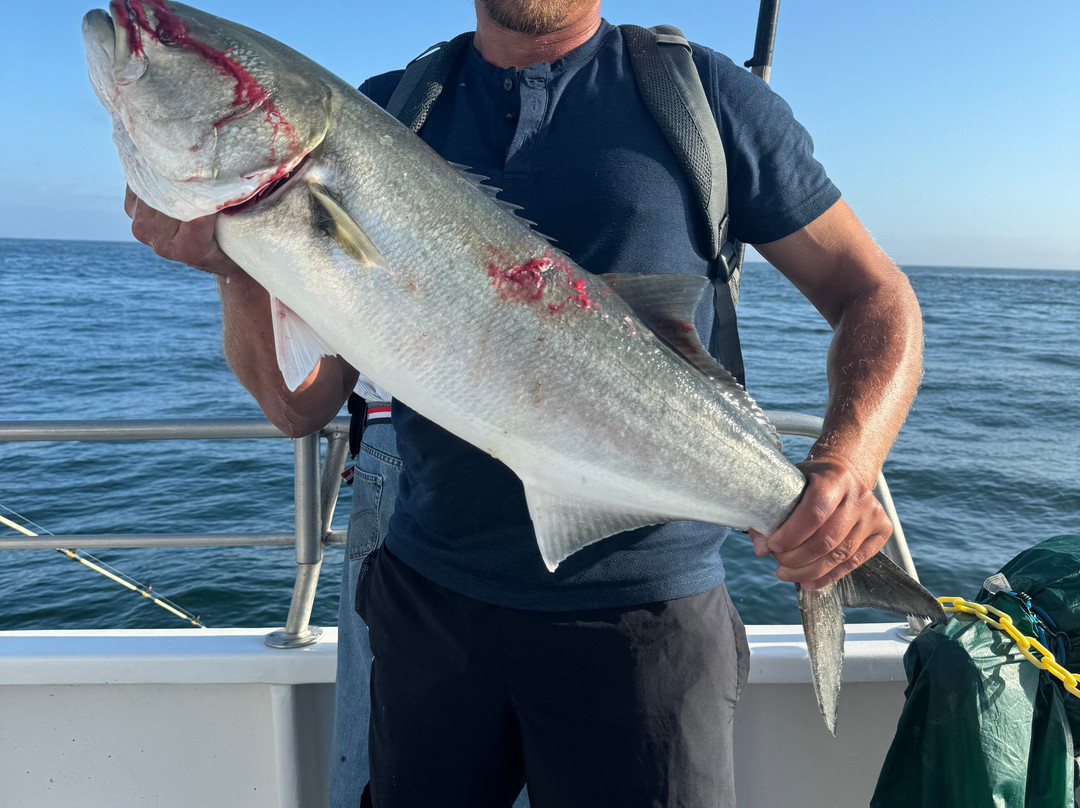 Sunbeam Fleet-Waterford必去景点