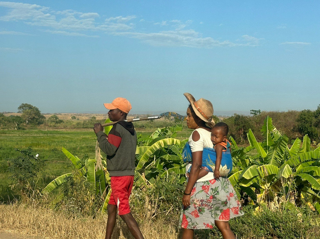 Etiland Tour Madagascar-安塔那那利佛必去景点