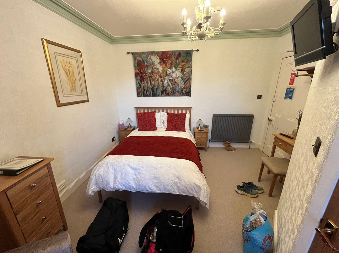 Fern Villa Guest House主图