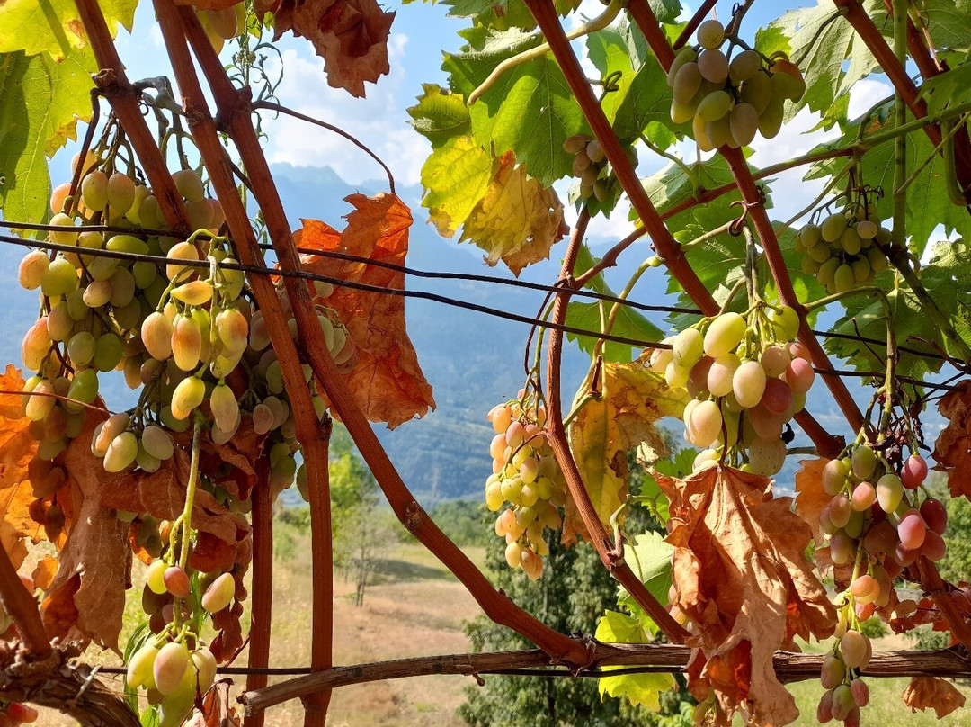 Palazzo Juvalta主图