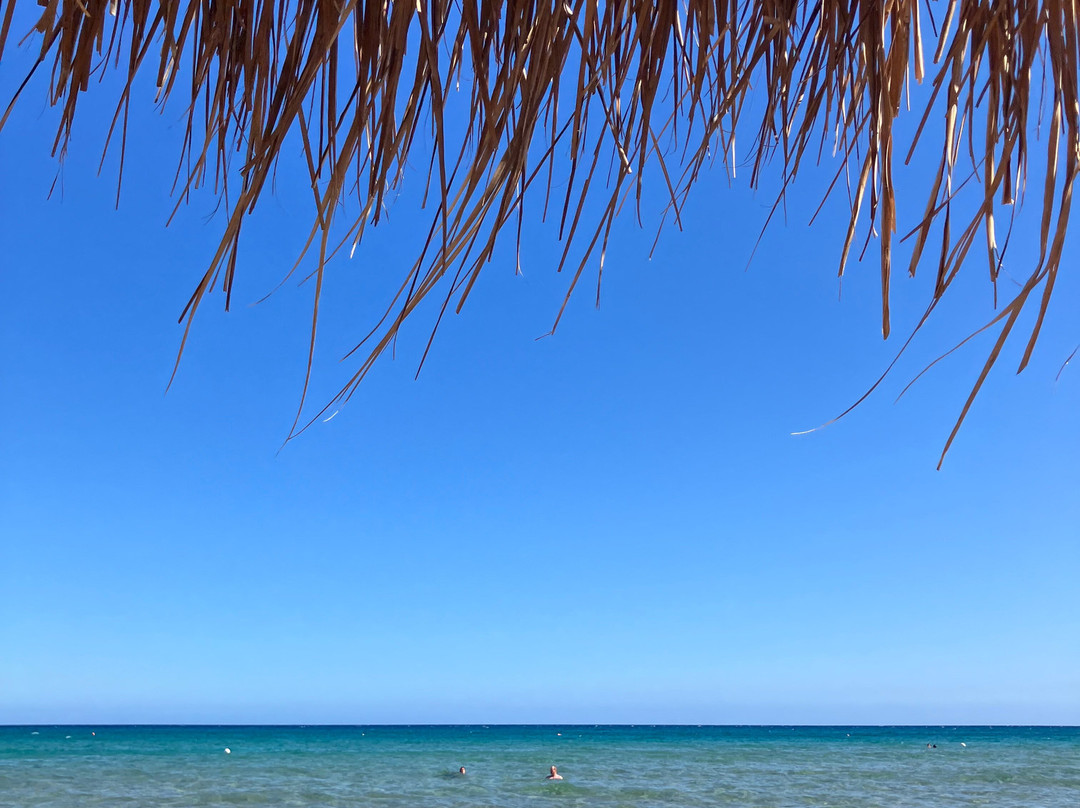 Abbronzatissima Beach Club景点图片