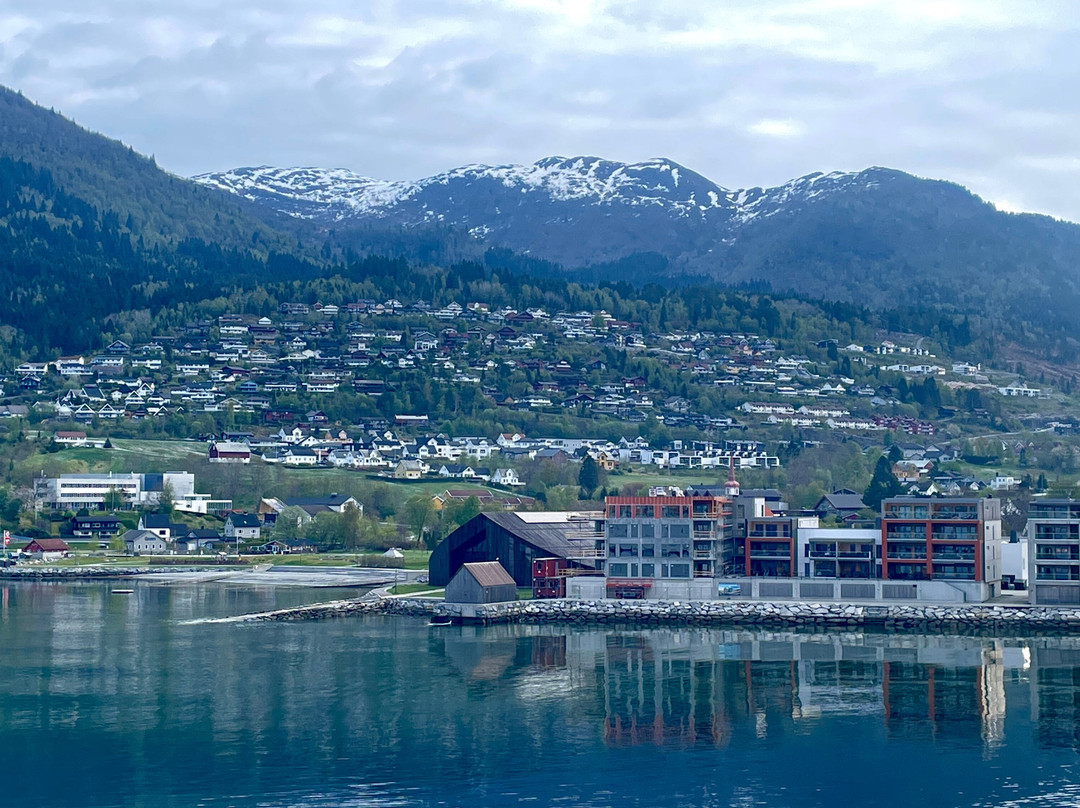 Fiordos Noruegos景点图片