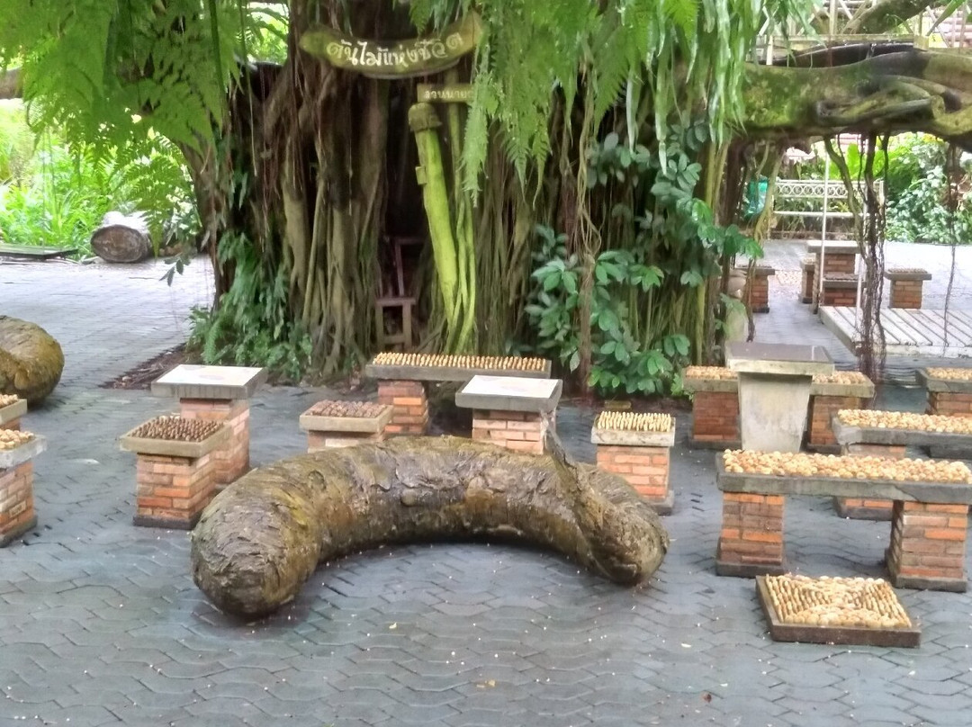 Suan Nai Dum景点图片