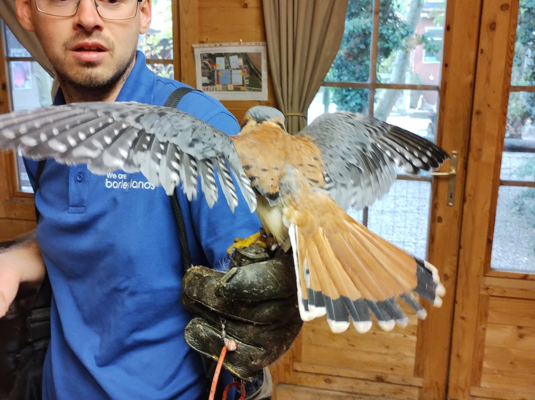 Imperial Bird of Prey Academy景点图片