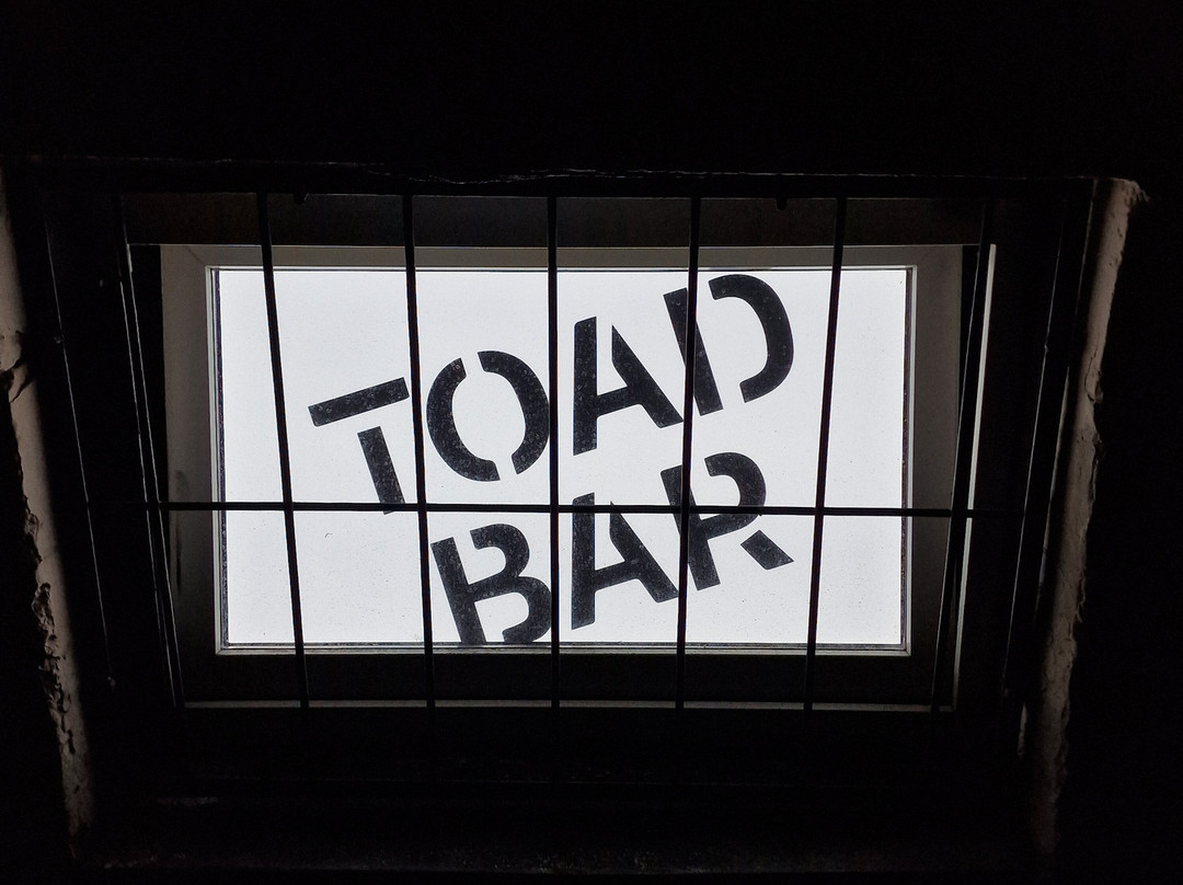 Pub Crawl Tour-圣彼得堡必去景点