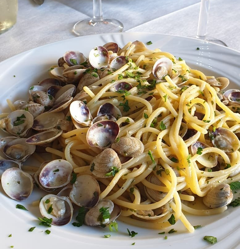 Ristorante Pizzeria Il Tulipano