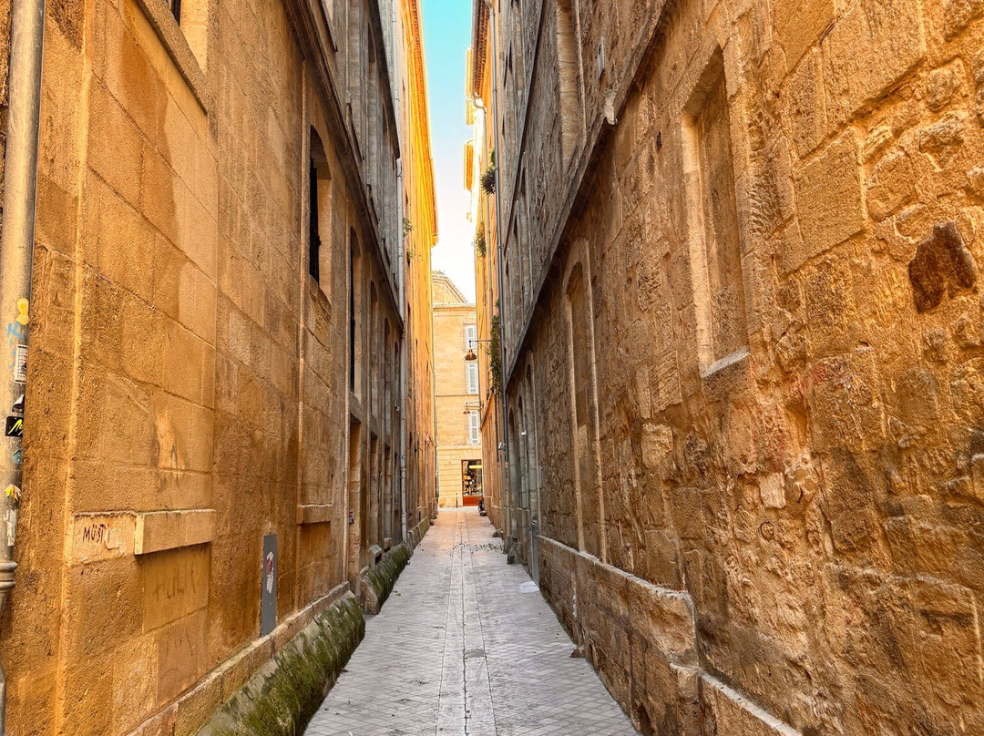 Vieux Bordeaux景点图片