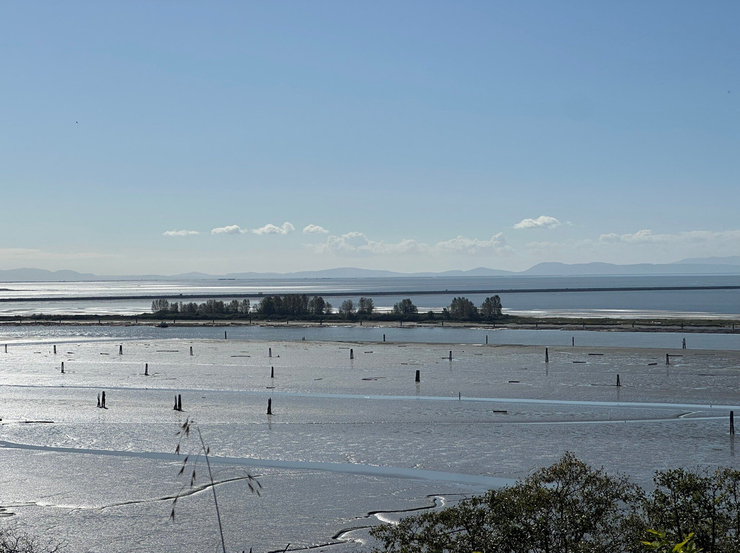 English Bay Bike Rentals-温哥华必去景点