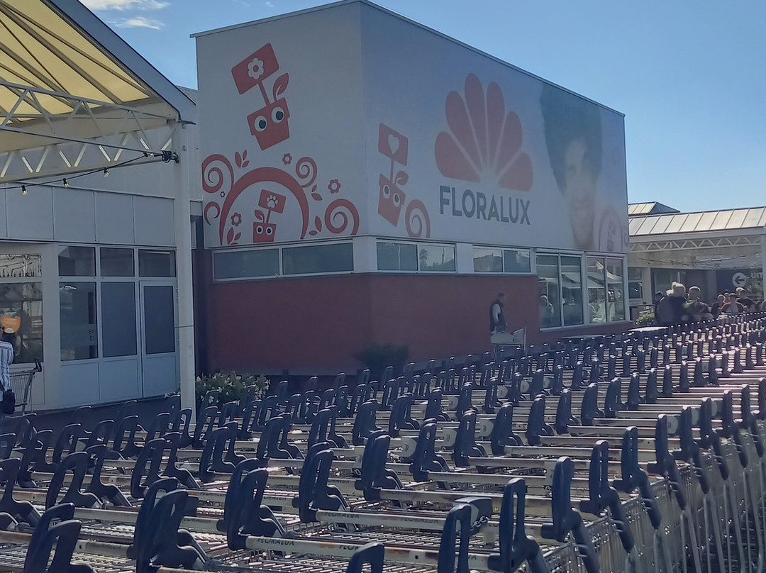 Floralux景点图片