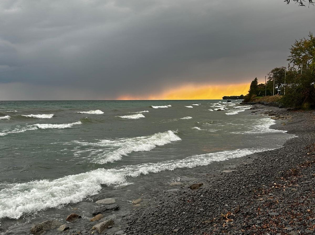 Drake Motor Inn主图