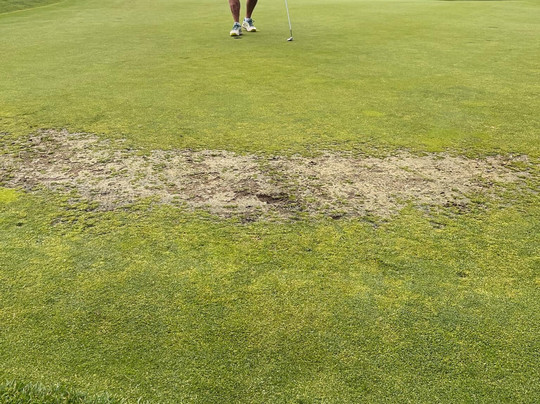 Sandpiper Golf Course-Harrison Mills必去景点