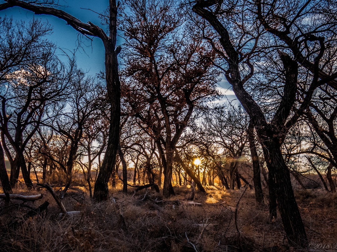 Willow Creek Trail-Rio Rancho必去景点